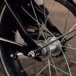 Chanty Cargo Kid - Sort